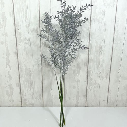 Soft Ruscus Glitter Silver - Dried *Only one left*