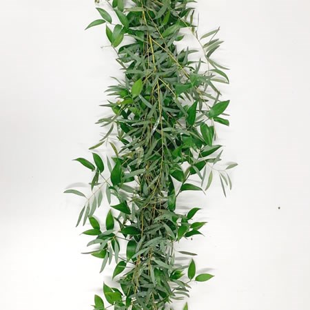 Garlands - Soft Ruscus & Eucalyptus Nicholii