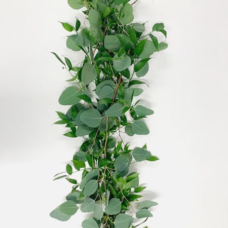 Garlands - Soft Ruscus & Eucalyptus Populus