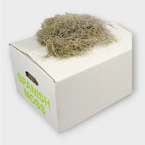 Spanish Moss Dried Fine (1Kg Box)