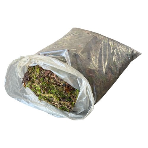 Sphagnum Moss (Bag)
