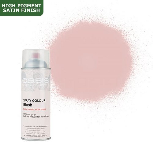 Spray Paint (Oasis) - Blush (Satin Finish)