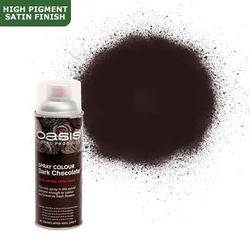 Spray Paint (Oasis) - Dark Chocolate (Satin Finish)