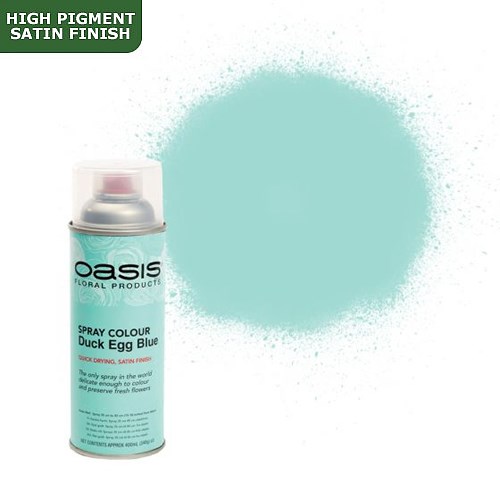 Spray Paint (Oasis) - Duck Egg Blue (Satin Finish)