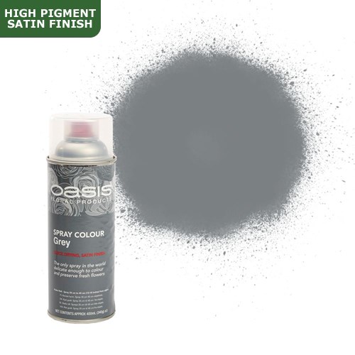 Spray Paint (Oasis) - Flat Grey (Satin Finish)