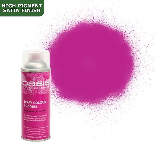 Spray Paint (Oasis) - Fuchsia (Satin Finish)