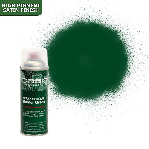 Spray Paint (Oasis) - Hunter Green (Satin Finish)