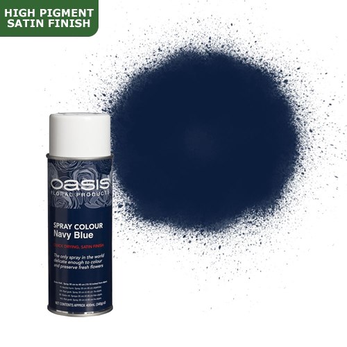 Spray Paint (Oasis) - Navy Blue (Satin Finish)
