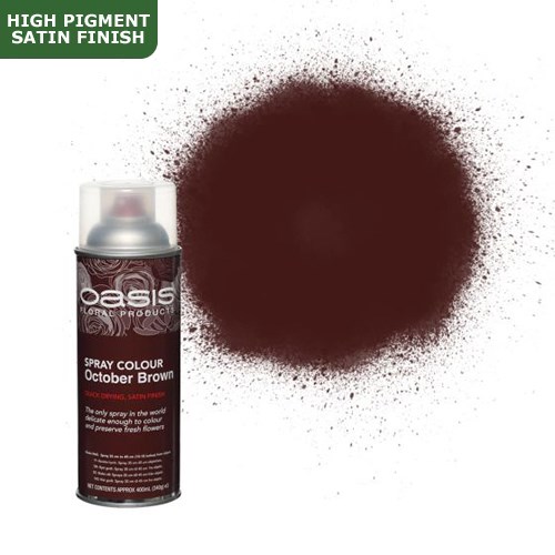 Spray Paint (Oasis) - October Brown (Satin Finish)