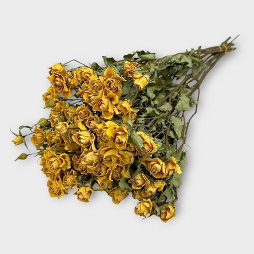 Spray Roses Yellow (Dried 10 stem bunch)