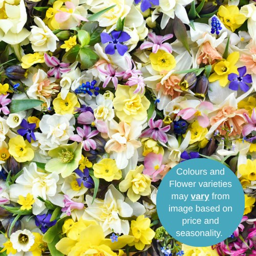 Wholesalers Choice (Spring Time)