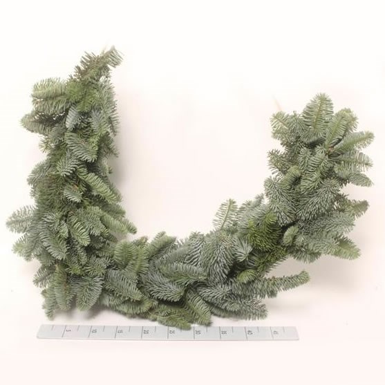 christmas foliage wholesale flowers uk triangle nursery christmas foliage wholesale flowers uk triangle nursery