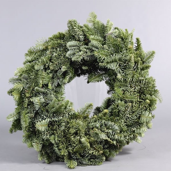 Spruce Ring Green 30cm - Half Bound