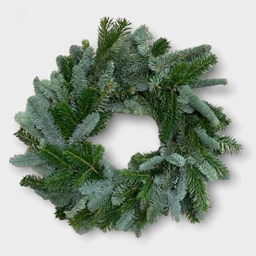Plain Fresh Spruce Wreath