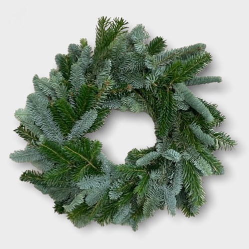 Spruce Wreath (16-18")