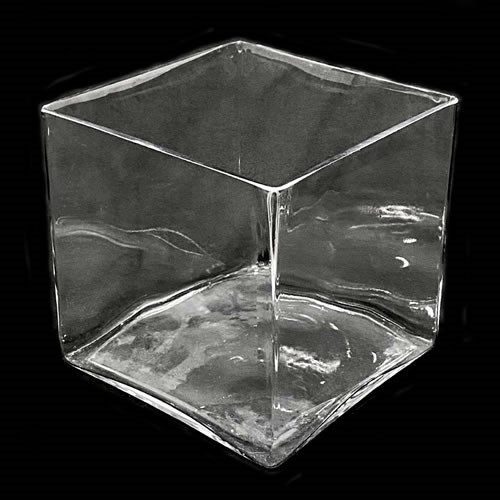 Glass Cube Vase - 18cm 