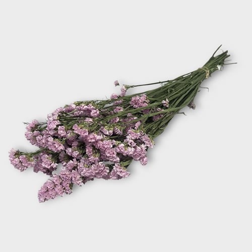 Statice Light Pink (dried) 40g