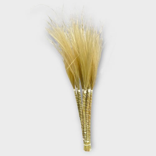 Stypha Penatta Natural