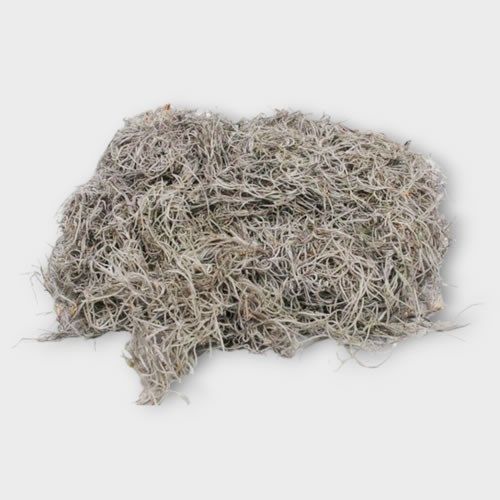 TILLANDSIA MOSS DRIED ROUGH (1Kg)