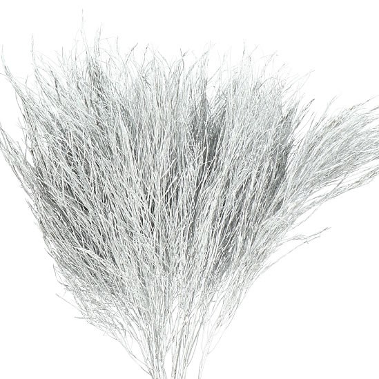 TREEFERN PRESERVED SILVER