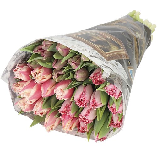 TULIPS DUTCH MASTERS (THE PINKS) X180