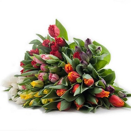 TULIPS FRILLY MIX X200