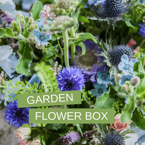 Cottage Garden Mystery Flower Box