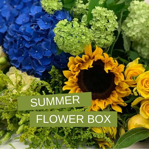 The Summer Mystery Flower Box