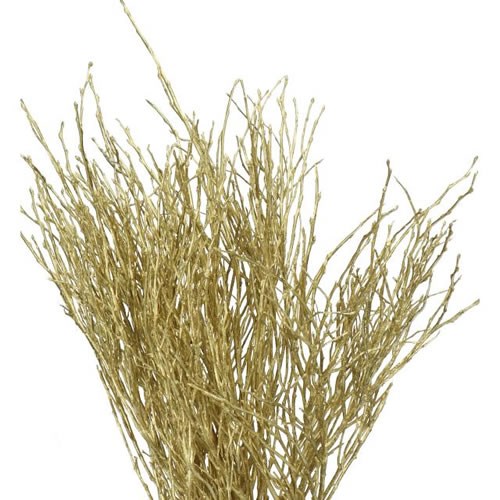 VACCIUNIUM DYED GOLD