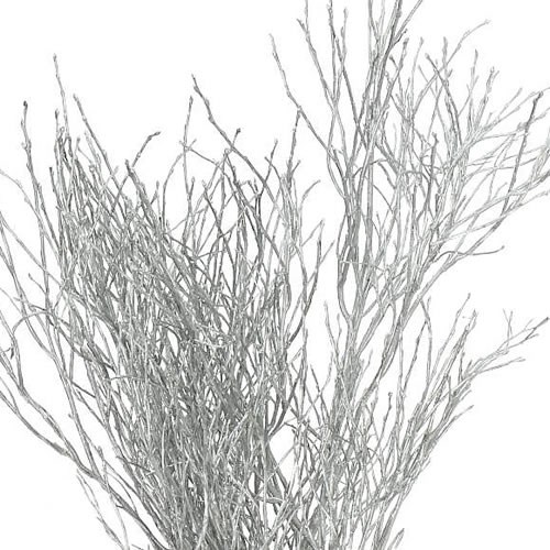 VACCIUNIUM DYED SILVER