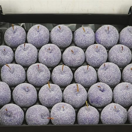 WAXED APPLES - LAVENDER + GLITTER
