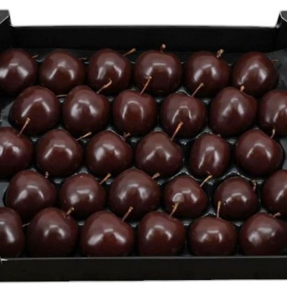 WAXED APPLES - CHOCOLATE