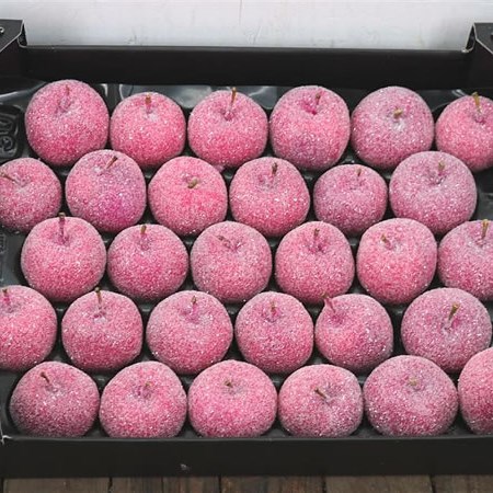 WAXED APPLES - FUCHSIA + GLITTER