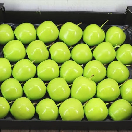 WAXED APPLES - MINT GREEN