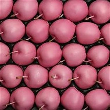 WAXED APPLES - PINK