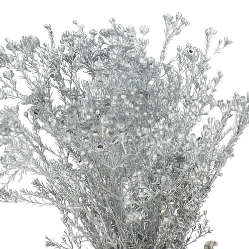WAXFLOWER DYED METALLIC SILVER