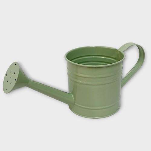 Watering Can - Green