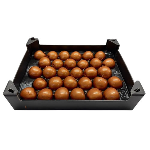 Waxed Apples - Copper