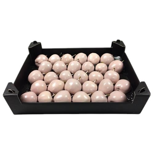 Waxed Apples - Ivory
