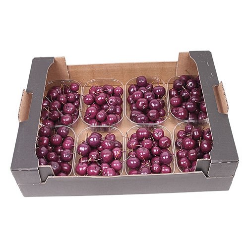 Waxed Apples Small - Aubergine