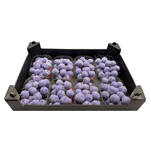 Waxed Apples Small - Lavender + Glitter
