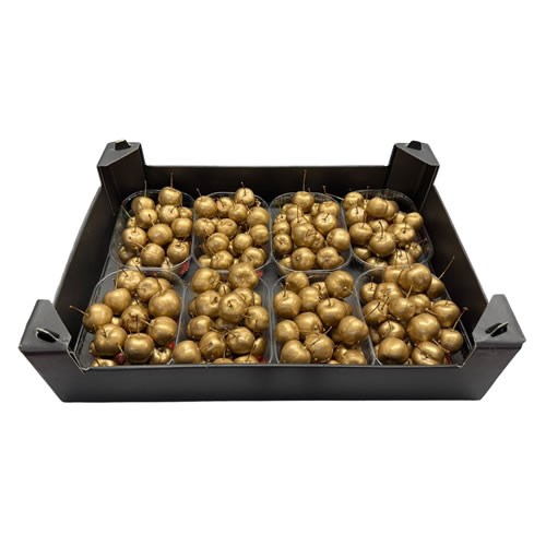 Waxed Apples Small - Gold