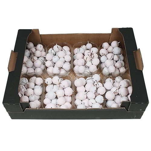 Waxed Apples Small - White