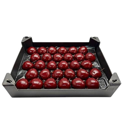 Waxed Apples - Wine Red