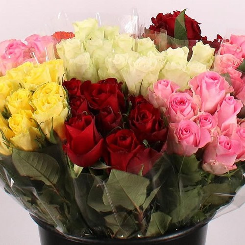 Weekly Special - Rose Mix