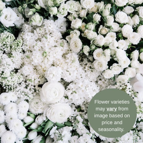 Wholesalers Choice (Ivory / White)