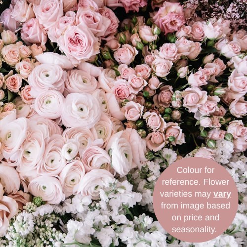 Wholesalers Choice (Blush)