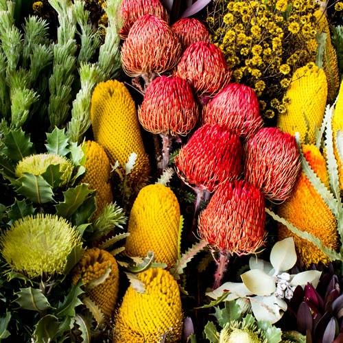 Wholesalers Choice (Exotic Mix)