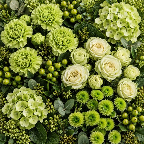 Wholesalers Choice (Green)