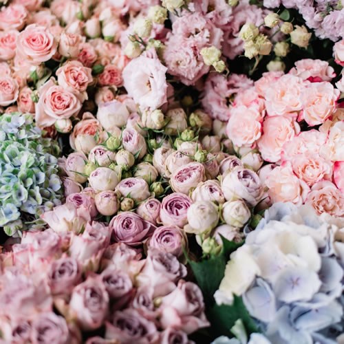 Wholesalers Choice (Pastel Mix)
